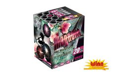  magnolia weco feux artifice winn 