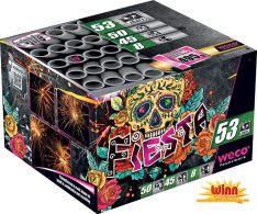  batterie weco fiesta winn 