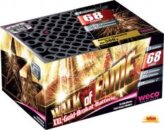  376800 walk of fame feux artifice batterie pro weco laviemoinschere magasin winn discount gilly le roux 