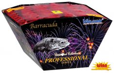  dc214 feux artifice winn namur barracuda 
